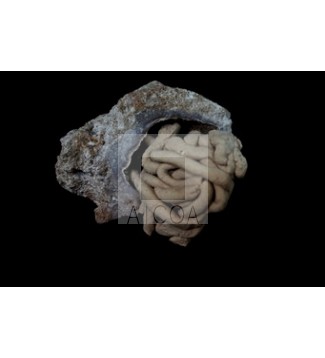 PETROGÉNESIS NATURAL Y PETROGÉNESIS INDUCIDA