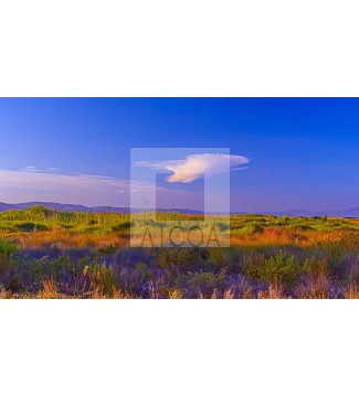 ALBUFERA