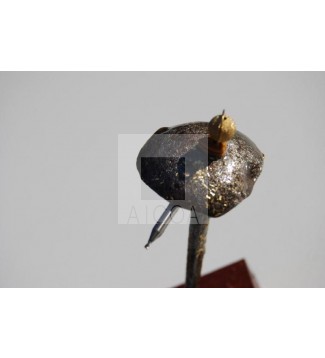 breguet y vasco indiano,van de la mano