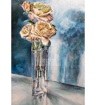 Estudio de 4 rosas amarillas sobre fondo azul