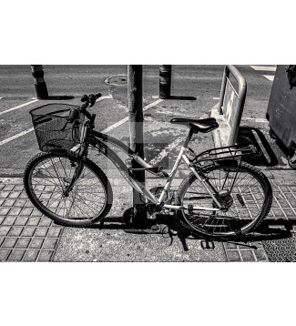 CALLE16