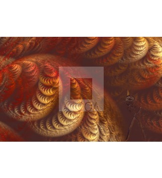 GATO EN FRACTAL