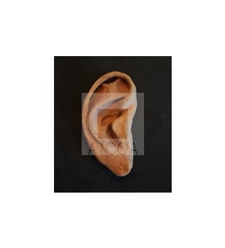 LA OREJA DE VAN GOGH