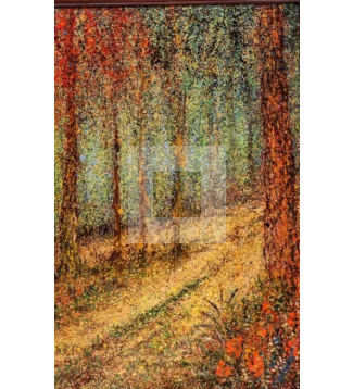 Camino de la luz 