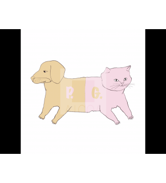 PerroGato