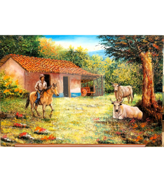 casa campesina del campo 