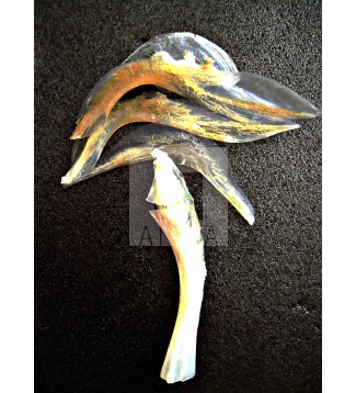 BELLEZA DE LAS ESPINAS