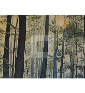 Nº 121 - El Bosque