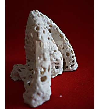 ENCAJE DE PORCELANA