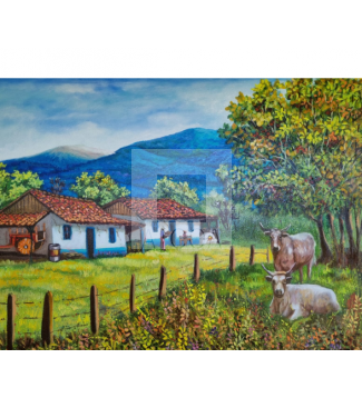 Volcán Turrialba casas