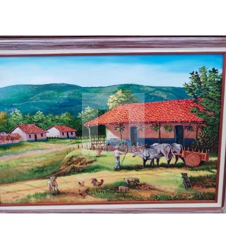 Campos de Santo Domingo