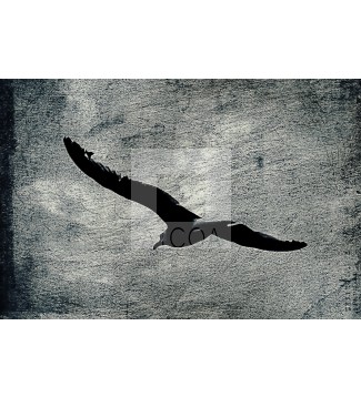 EL VUELO